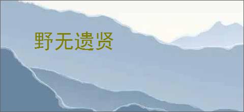 野无遗贤