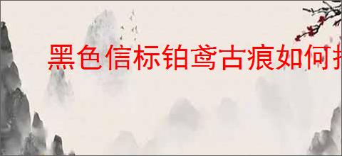 黑色信标铂鸢古痕如何搭配