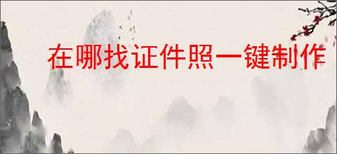 在哪找证件照一键制作