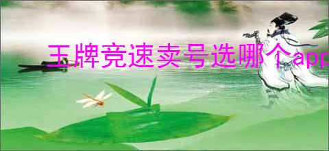 王牌竞速卖号选哪个app好