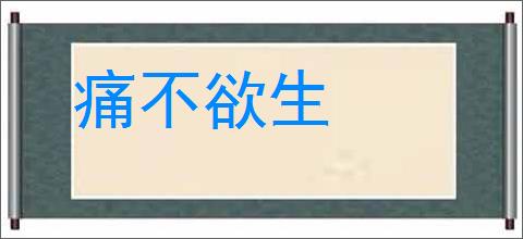 痛不欲生的意思,及其含义,痛不欲生基本解释