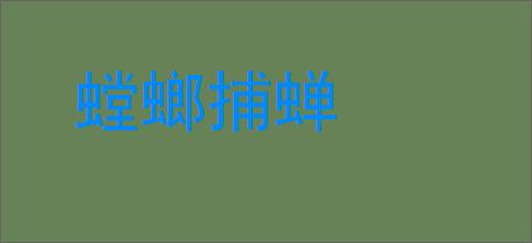 螳螂捕蝉的意思,及其含义,螳螂捕蝉基本解释