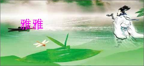 雅雅