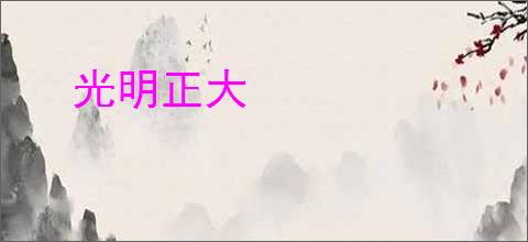 光明正大