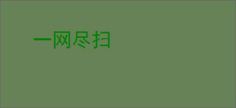 一网尽扫