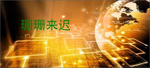 珊珊来迟