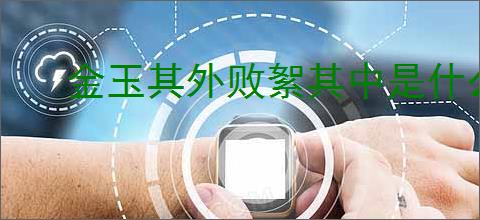 金玉其外败絮其中是什么意思
