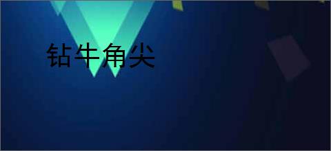 钻牛角尖