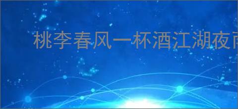 桃李春风一杯酒江湖夜雨十年灯
