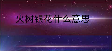 火树银花什么意思