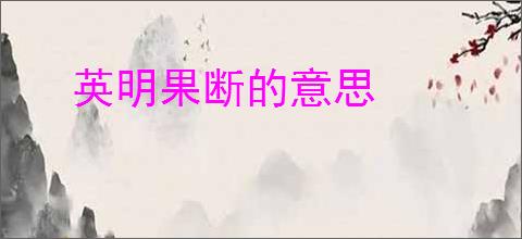 英明果断的意思