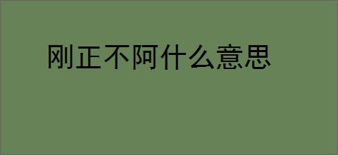 刚正不阿什么意思