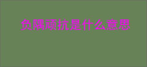 负隅顽抗是什么意思