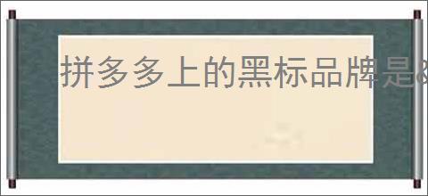 拼多多上的黑标品牌是<a href=