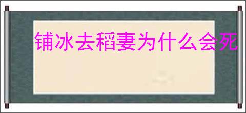 铺冰去稻妻为什么会死