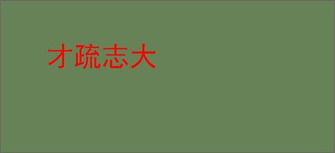 才疏志大
