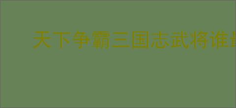 天下争霸三国志武将谁最强