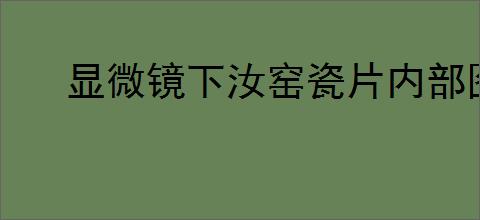 显微镜下汝窑瓷片内部图片