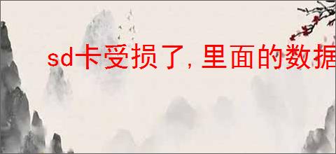 sd卡受损了,里面的数据怎么办