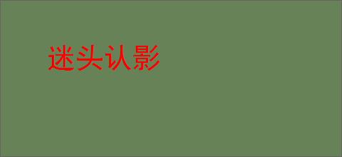 迷头认影