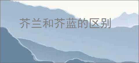 芥兰和芥蓝的区别