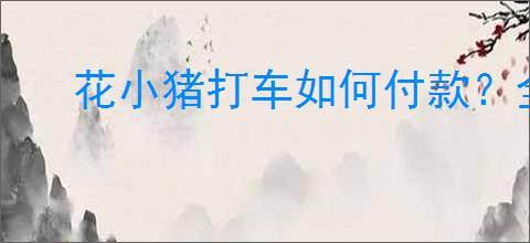 花小猪打车如何付款？全面解析花小猪的各种付款方式