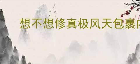 想不想修真极风天包裹内含何物