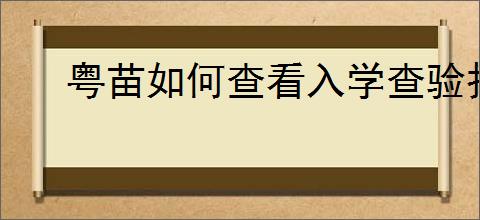 粤苗如何查看入学查验报告