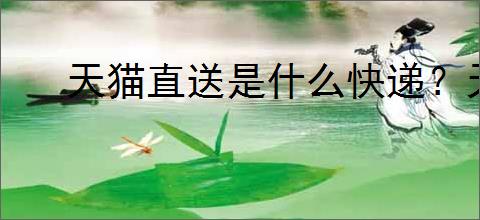 天猫直送是什么快递？天猫直送的配送服务有哪些特点？