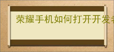 荣耀手机如何打开开发者选项