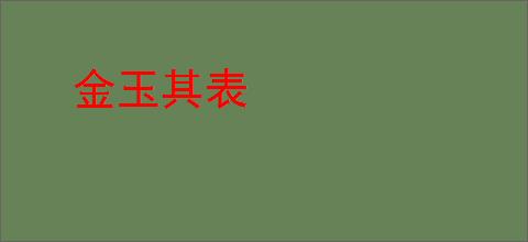 金玉其表