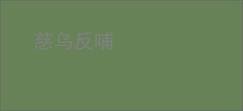 慈乌反哺