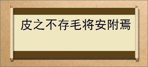 皮之不存毛将安附焉
