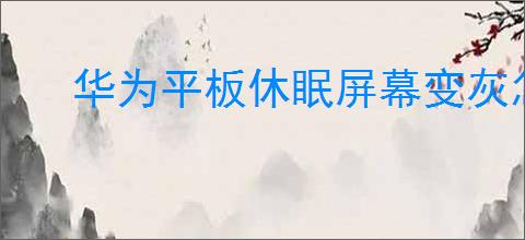 华为平板休眠屏幕变灰怎么办