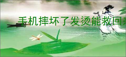 手机摔坏了发烫能救回来吗
