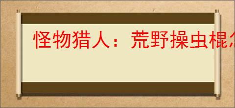 怪物猎人：荒野操虫棍怎么配装