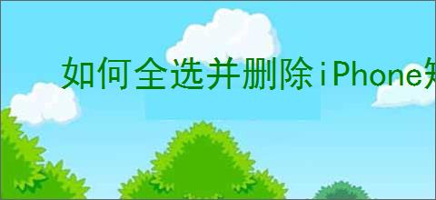 如何全选并删除iPhone短信