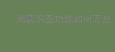 鸿蒙识图功能如何开启