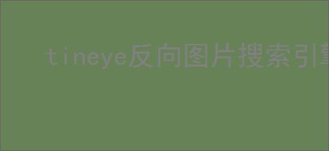 tineye反向图片搜索引擎是什么