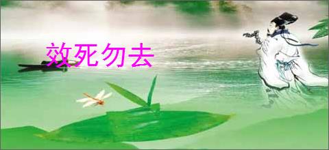 效死勿去