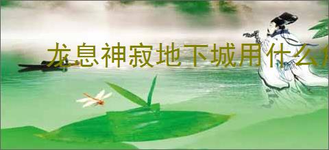 龙息神寂地下城用什么角色