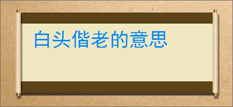 白头偕老的意思