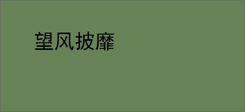 望风披靡
