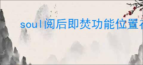 soul阅后即焚功能位置在哪