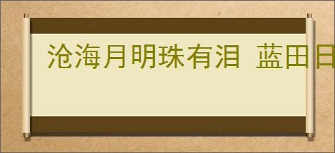 沧海月明珠有泪 蓝田日暖玉生烟