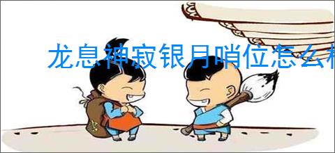 龙息神寂银月哨位怎么样