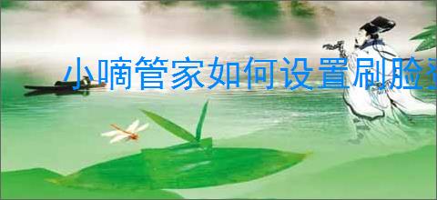 小嘀管家如何设置刷脸登录