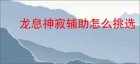 龙息神寂辅助怎么挑选