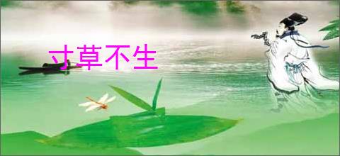 寸草不生