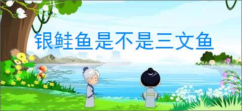 银鲑鱼是不是三文鱼